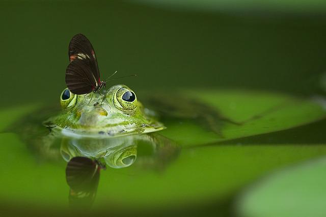 Schermata 2011-07-17 a 13.55.05