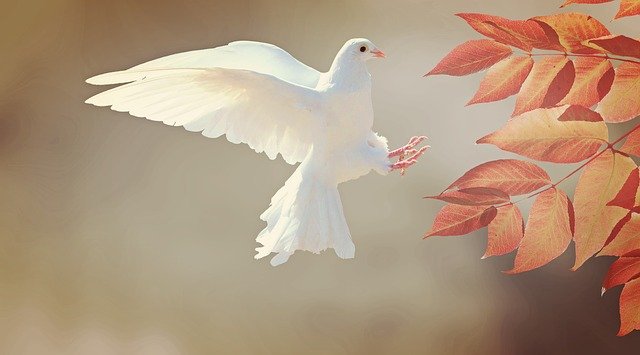 185319097-dc8df371-6bde-4c19-afb9-1c621153dd57