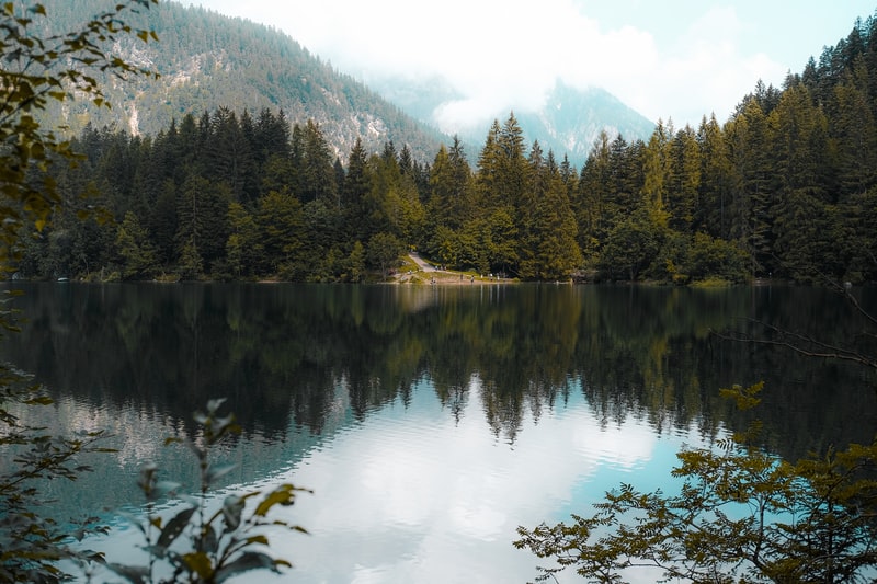 francesco_salvi_ieri