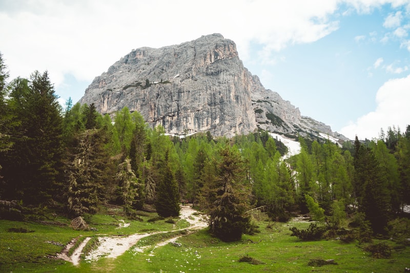 giorgio_faleii_ieri