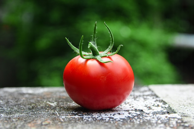 curiosita-sul-pomodoro-e-le-sue-origini